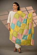 Noor Mahal Organza Dupattas