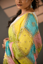 Noor Mahal Organza Dupattas