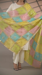 Noor Mahal Organza Dupattas